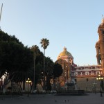 Mit diesem friedlichen Anblick wurden wir von Puebla verabschiedet.