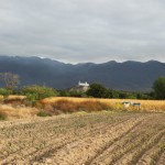 Über Felder und Wiesen