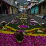 Für die Prozessionen werden die Straßen mit Bildern aus Blütenblättern verziert.