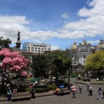 Quito wird auch als Hauptstadt des ewigen Frühlings bezeichnet,