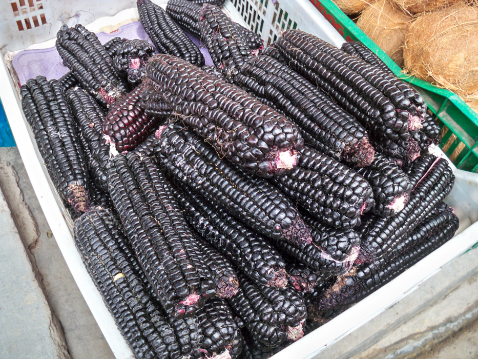 Auf dem Markt in Chota gab es schwarzen Maiz zu kaufen.