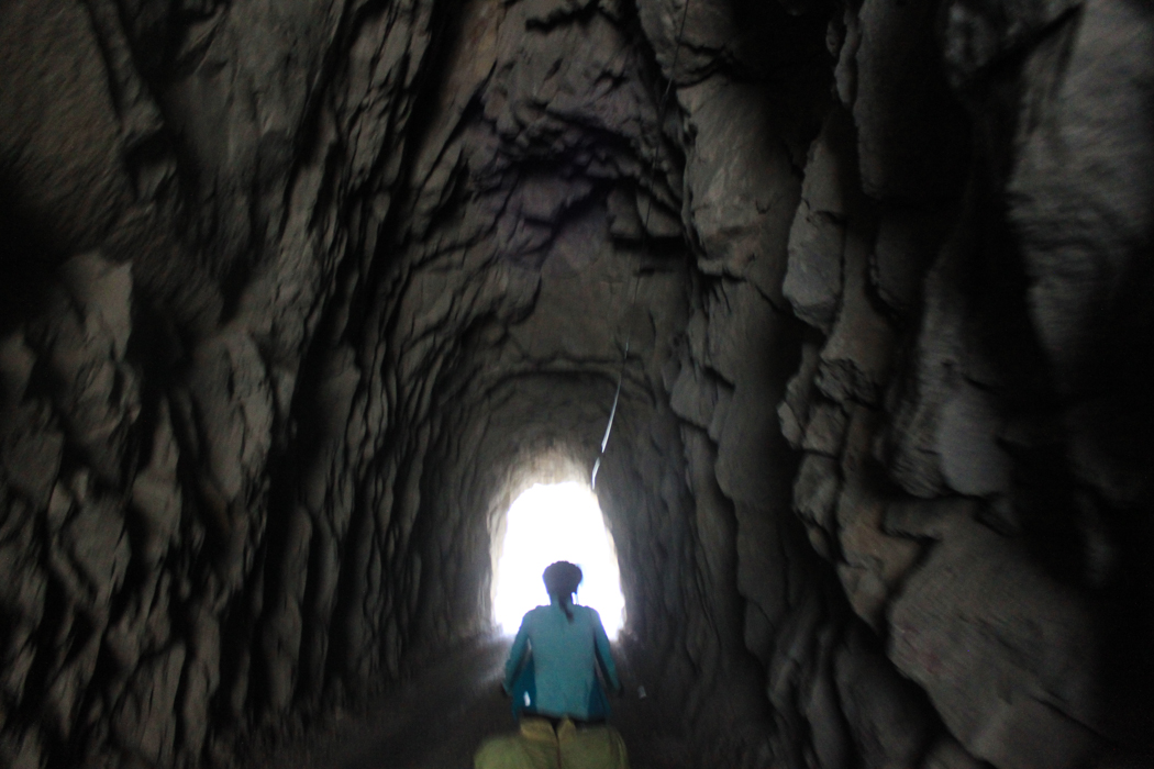 In diesen Tunneln haben auch die Fledermäuse gewohnt.