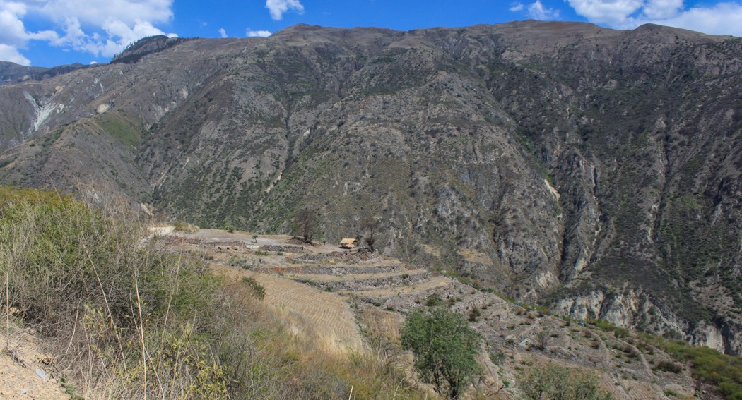 Im Hintergrund sind die ortstypischen Steinterassen zu sehen. Diese sind hier sehr wichtig für den Ackerbau und stammen zum Teil aus den Zeiten der Inkas.